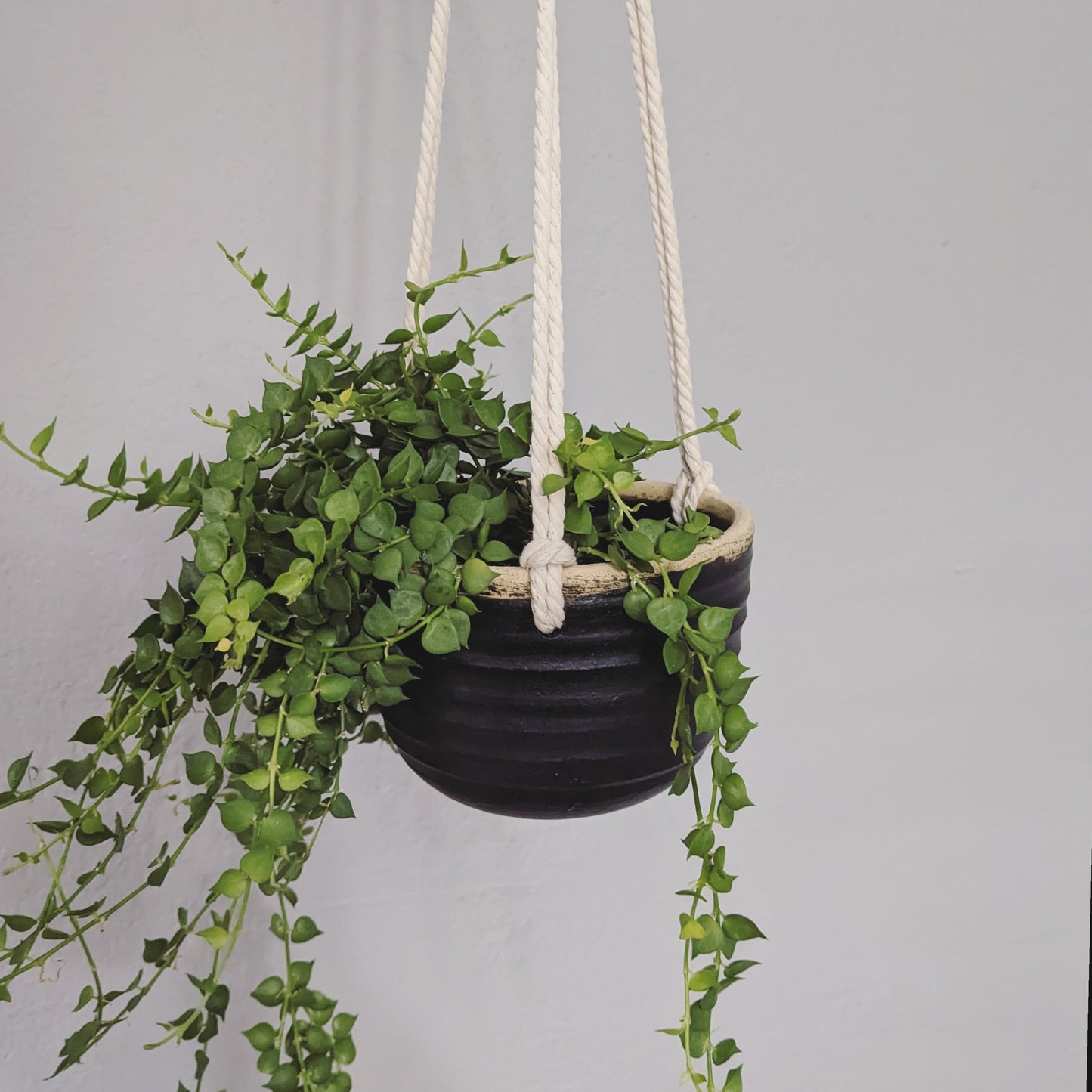 Hanging Plant Pot