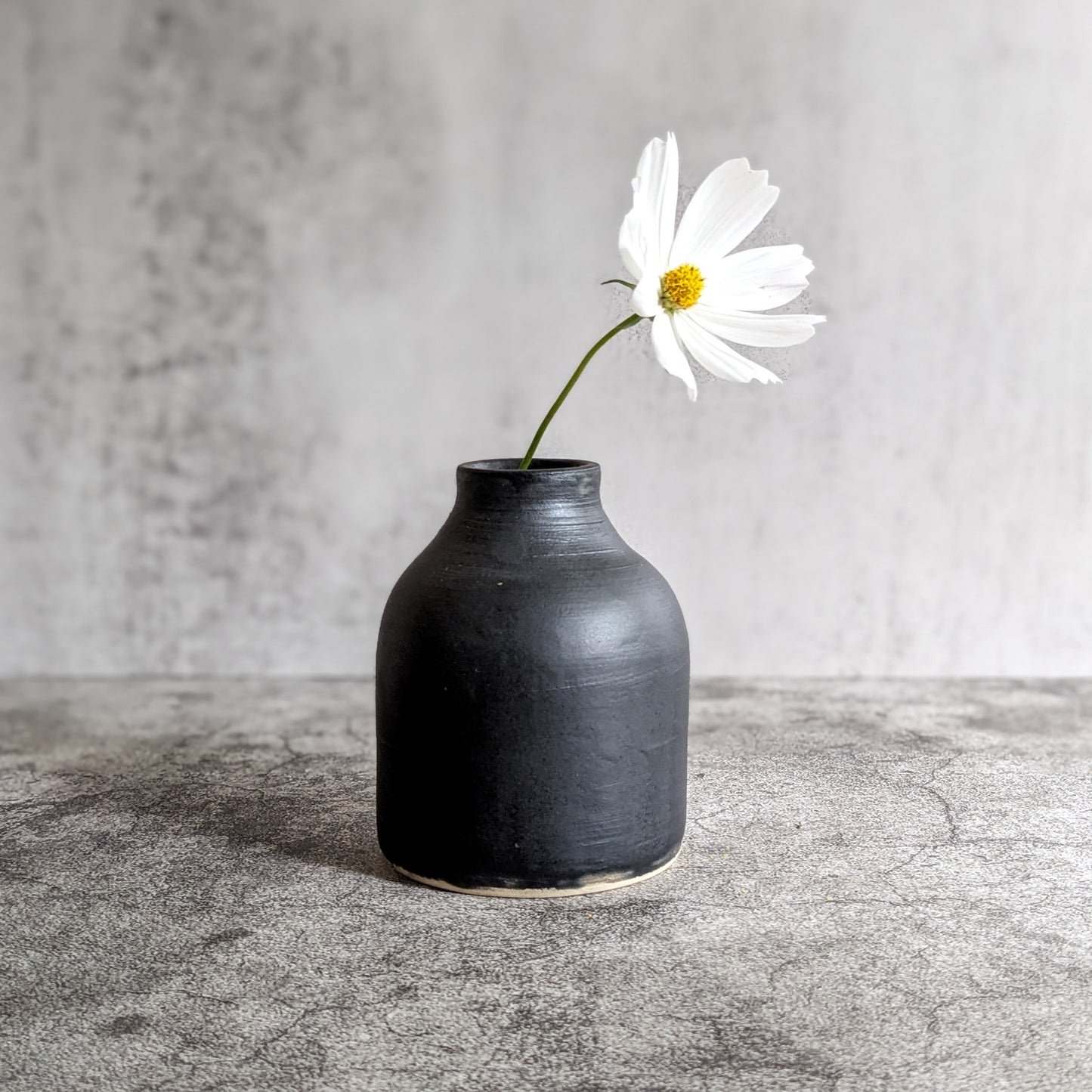 Small Black Vase